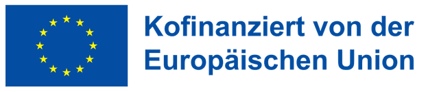 European Social Fund Plus