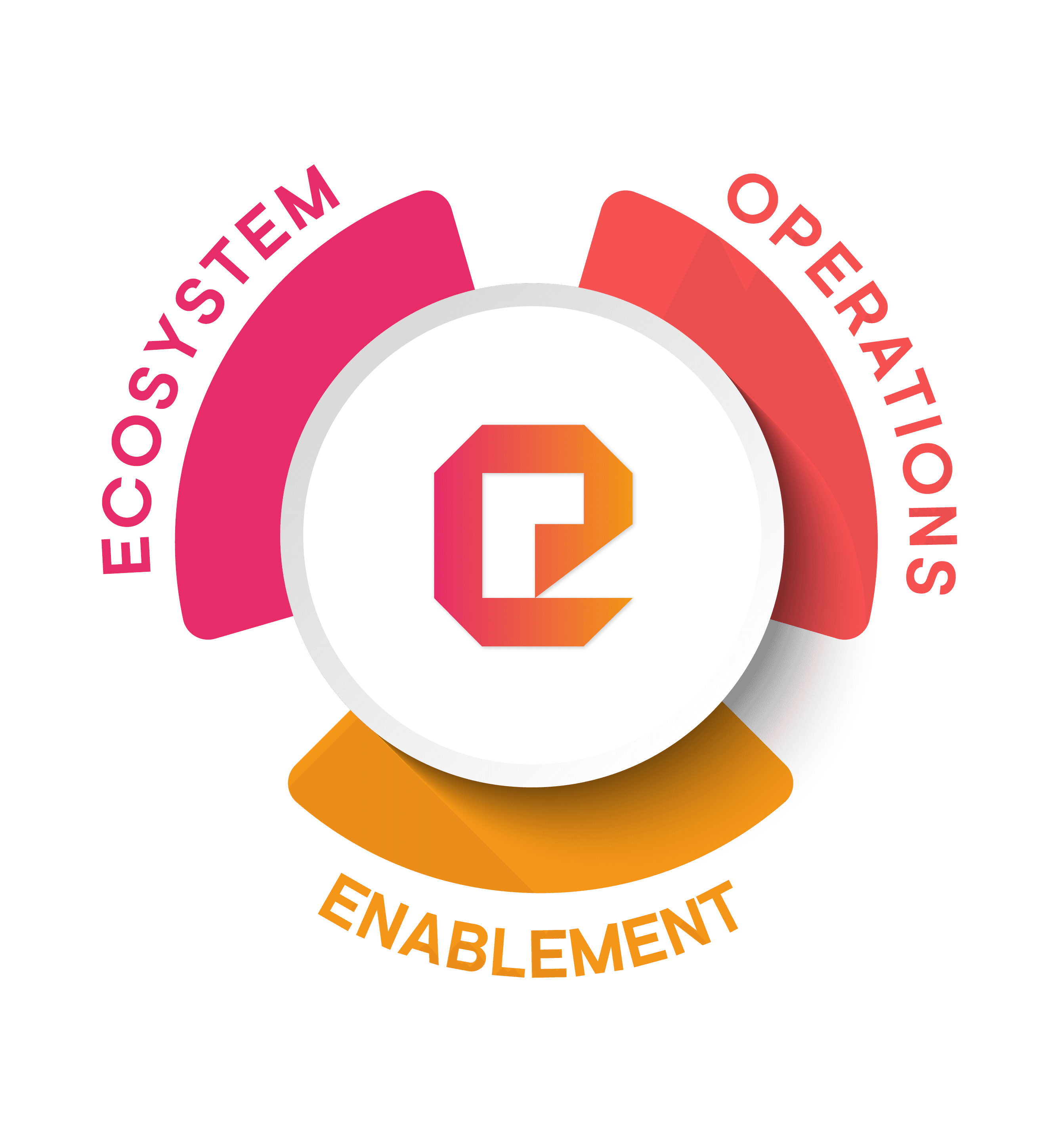 ekipa ecosystem process support visual